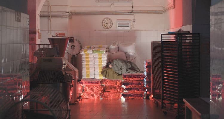 Il sogno di Ernesto
